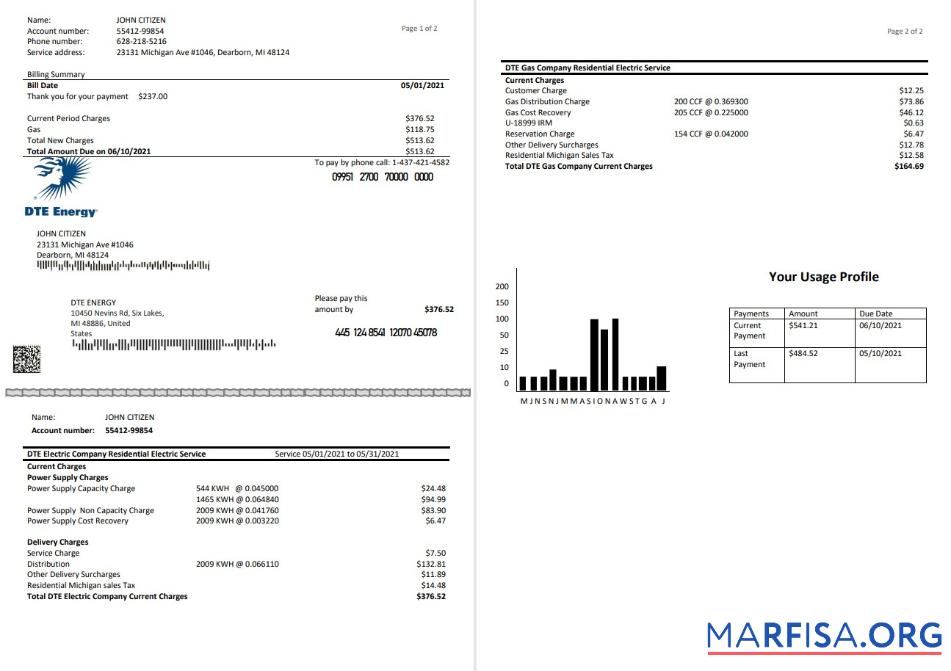 Downloadable USA DTE Energy utility bill template in Word and PDF format (2 pages)